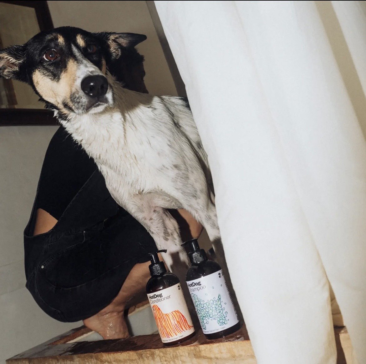 Chien à la douche avec le shampoing et l'après-shampoing HotDog