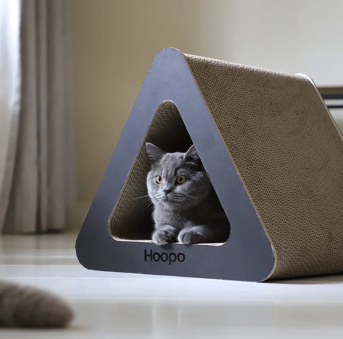 Chat installé dans le griffoir Triangle noir