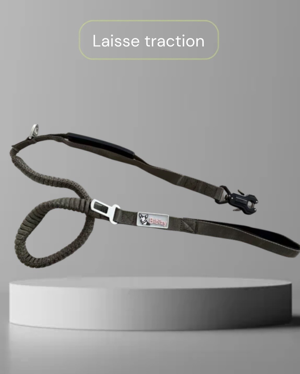 Laisse tactique Bibizy