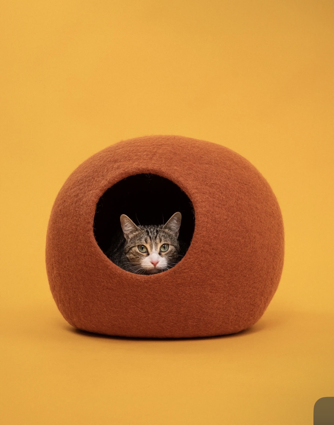 Niche Lora en laine feutrée pour chat, coloris terracotta
