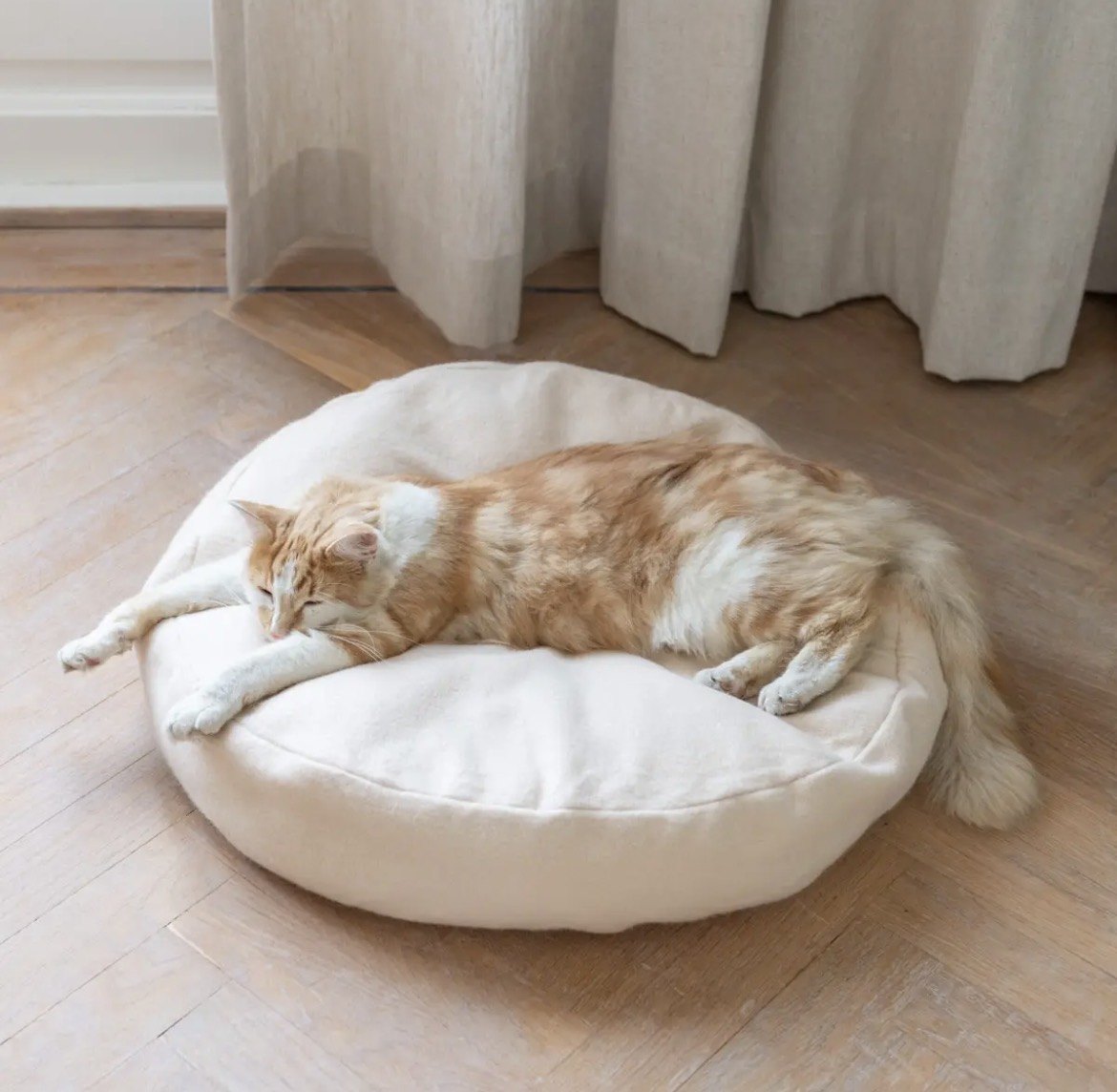 Chat sur le panier Donut, coloris nu
