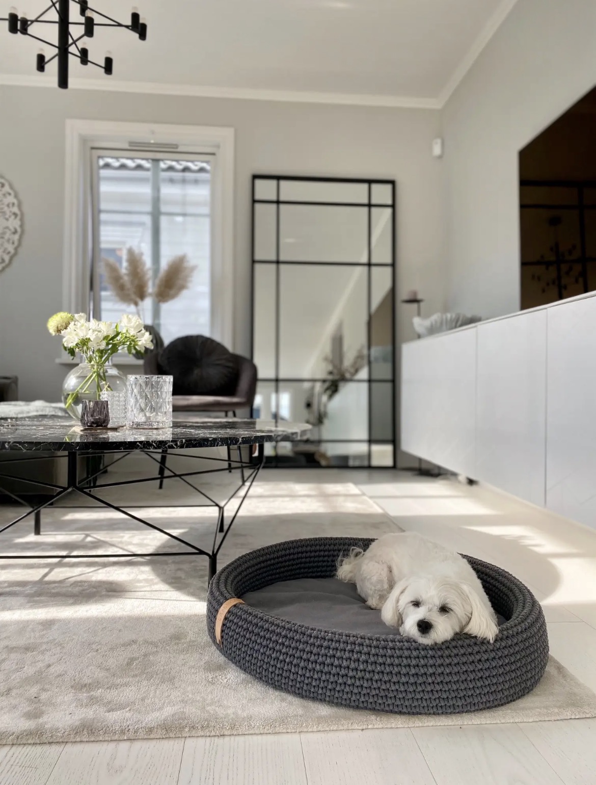 Chien dans le panier Lukko anthracite, en situation