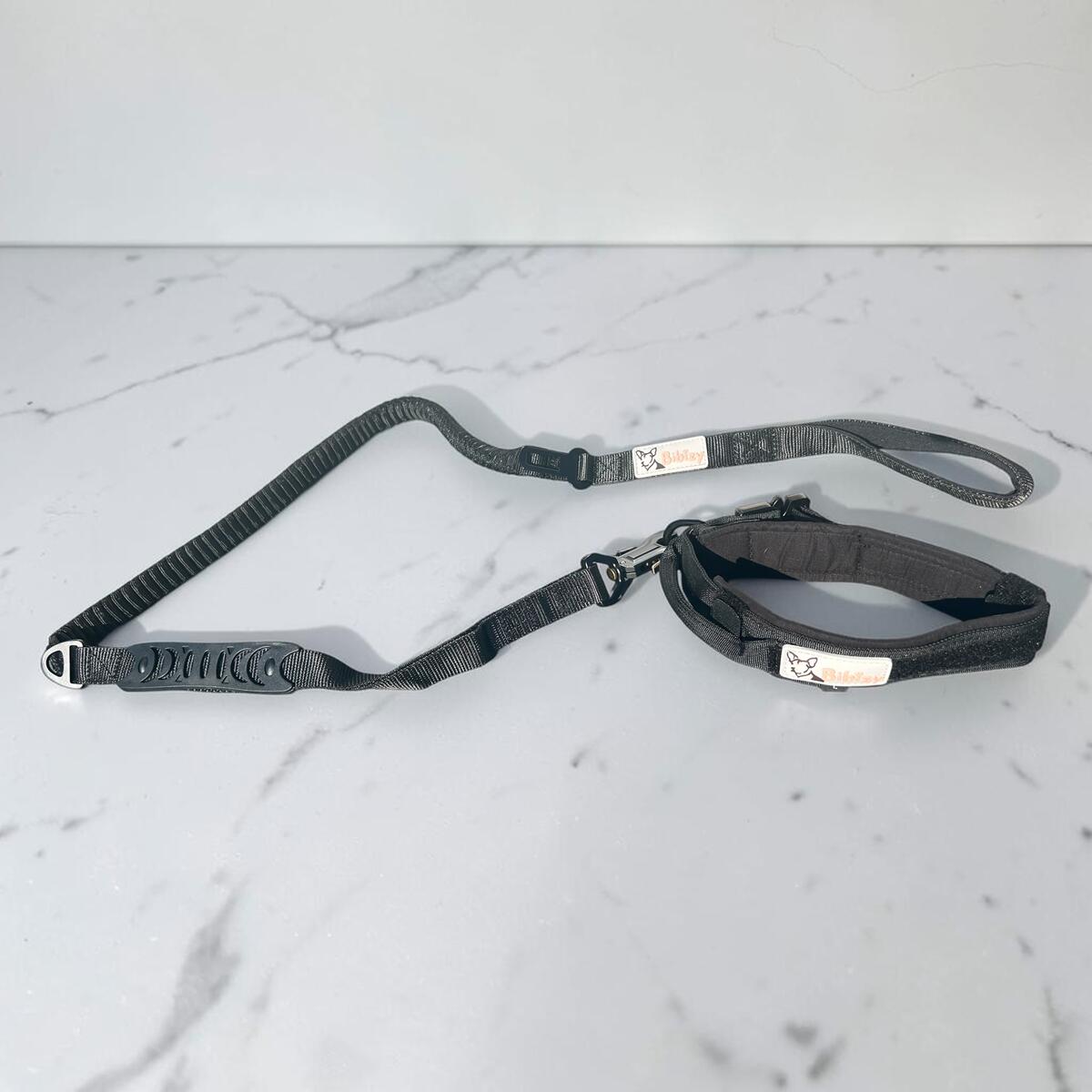 Set collier et laisse tactique Bibizy