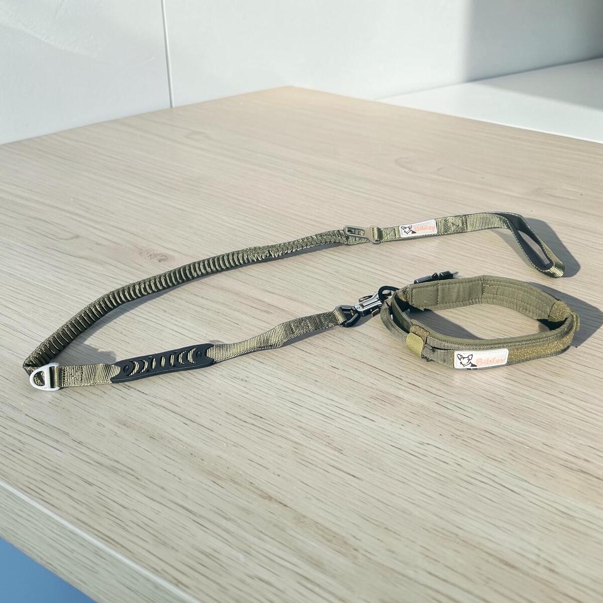 Set collier et laisse tactique Bibizy, coloris vert olive