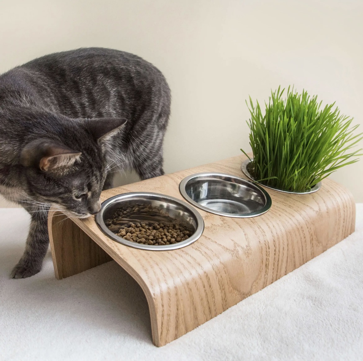 Chat mangeant dans la station d'alimentation en bois à 3 bols